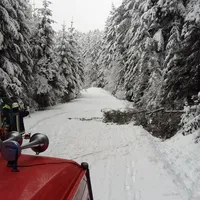 img_20190203_110746.jpg
