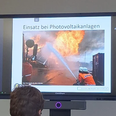 Bild