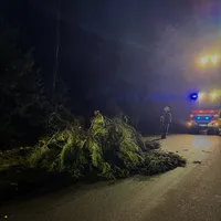 einsatz_baum.jpg